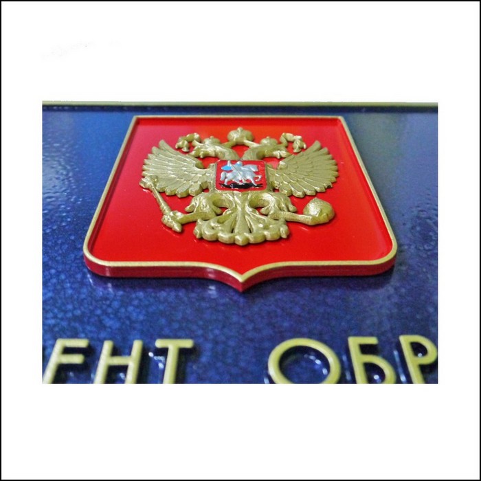 Герб России на красном щите фото в проекции